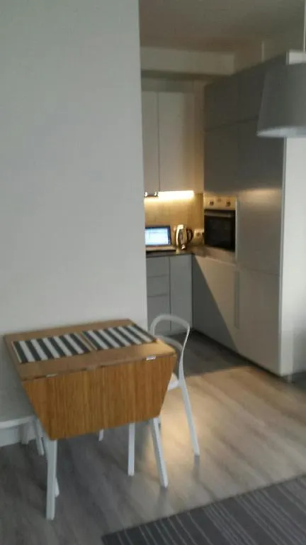 Modern Apartment Kosinskiego ポズナン